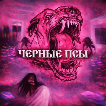 16Suave – Gosha Freestyle cover art (Studio 16)